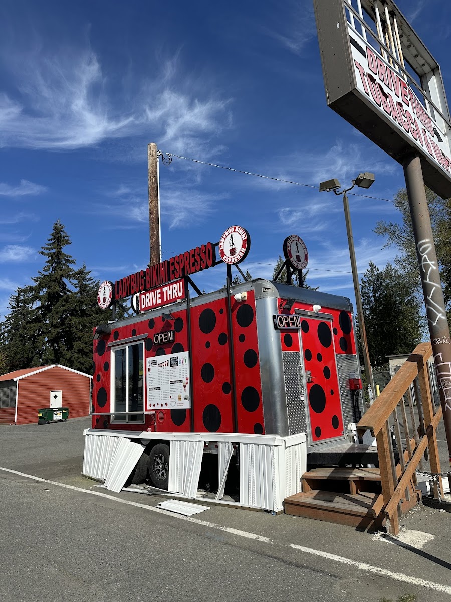 Ladybug Bikini Espresso